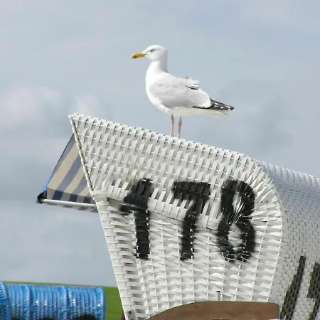 Appartement Cozy In Germany Near Sea *